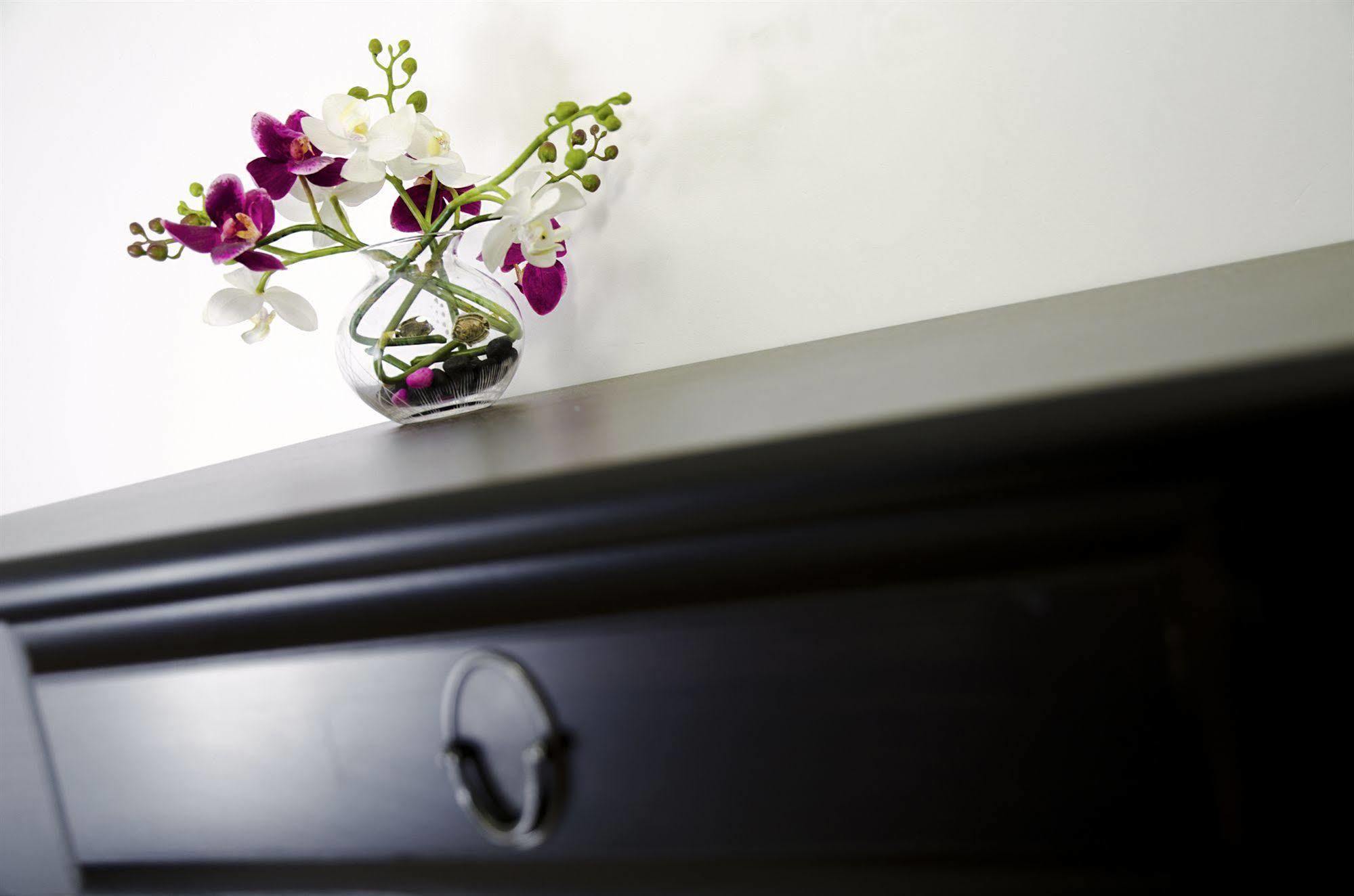 B&B Lost In Trastevere Rzym Zewnętrze zdjęcie